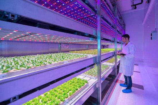 飞利浦(Philips)开发出定制型LED “灯光食谱”